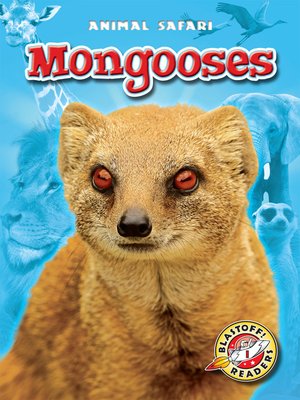 cover image of Mongooses